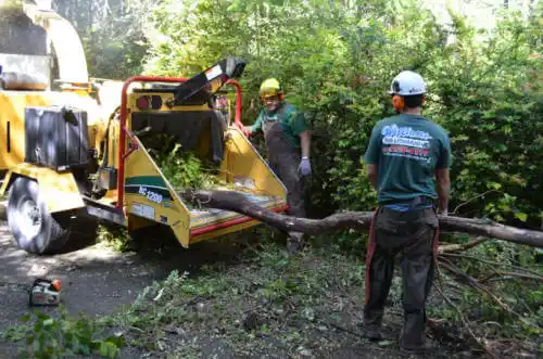 tree services Golden Valley